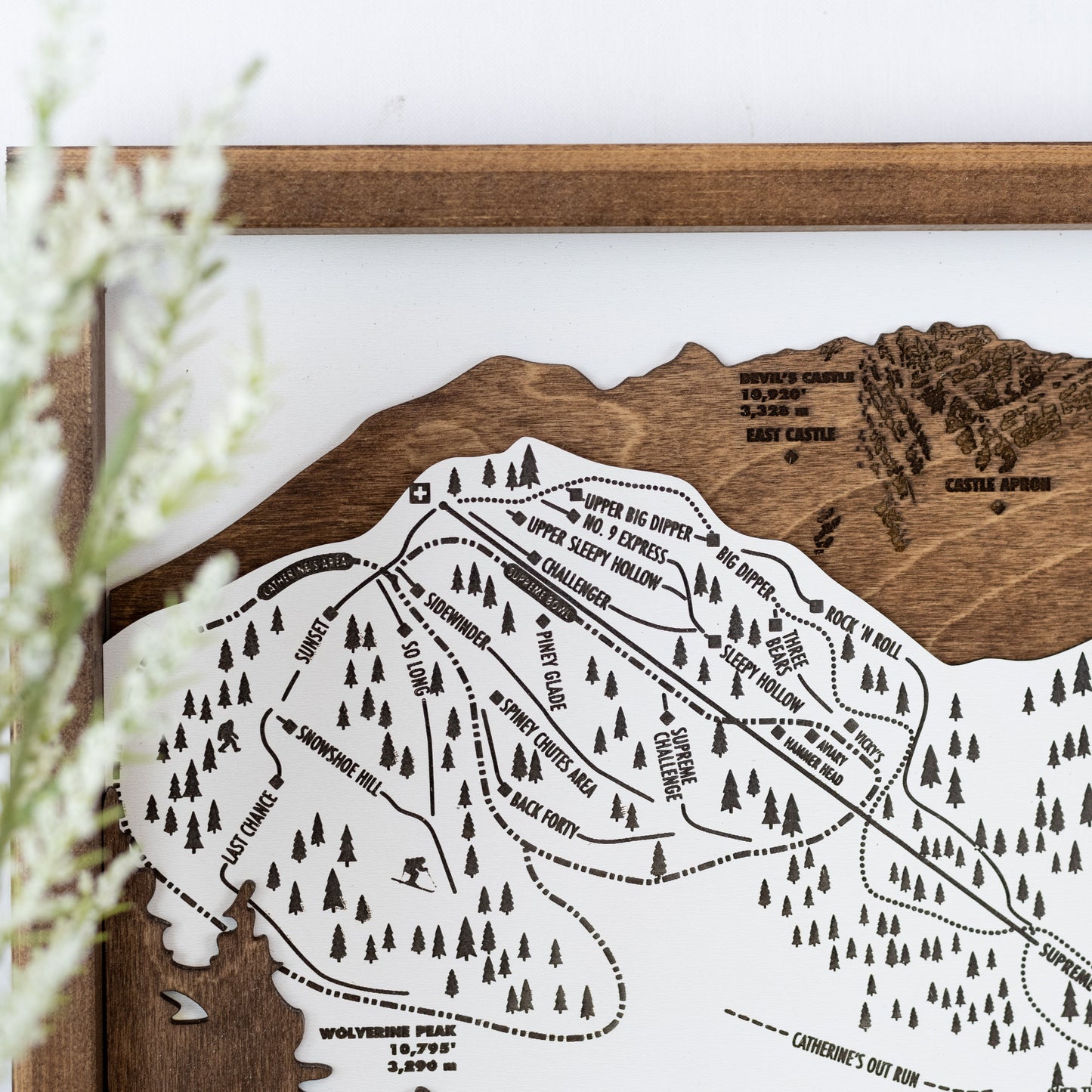 Alta Ski Resort Map Sign | Laser Engraved & Framed Wall Art