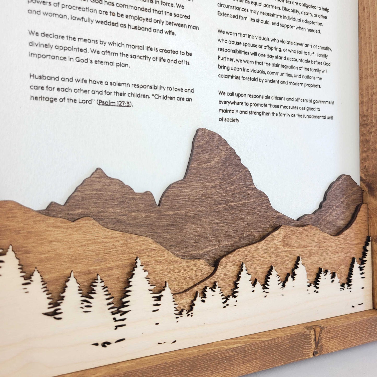 Grand Teton Mountains closeup layers on Family Proclamation sign